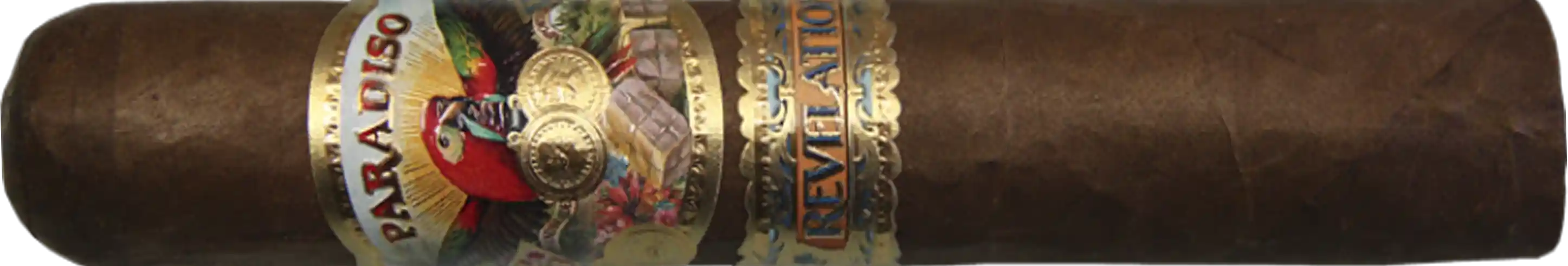 Paradiso Revelation Odyssey