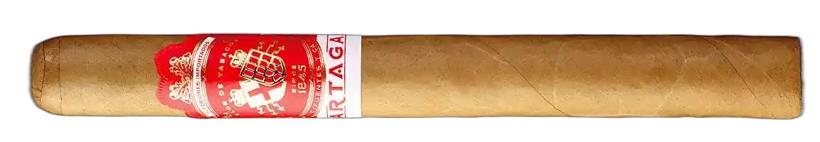 Partagas Non-Cuban Partagas Cortado Presidente