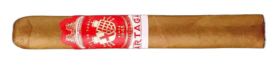 Partagas Non-Cuban Partagas Cortado Toro