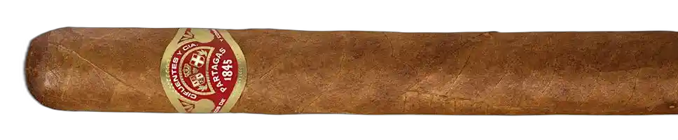 Partagas Non-Cuban Partagas HumiTubo