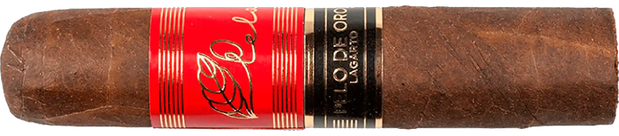 Pelo de Oro Lagarto Maduro