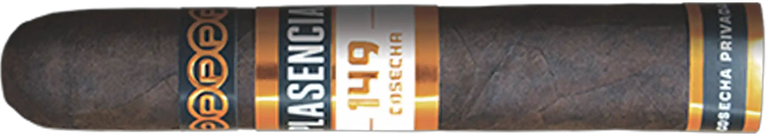 PlasenCia Cosecha 149 La Vega Robusto