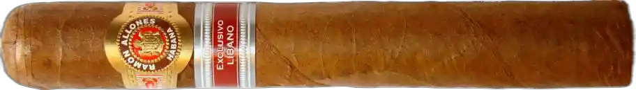 Ramon Allones Sidon Edicion Regional Líbano