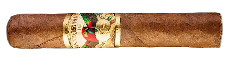 San Cristobal Non-Cuban San Cristobal Clasico