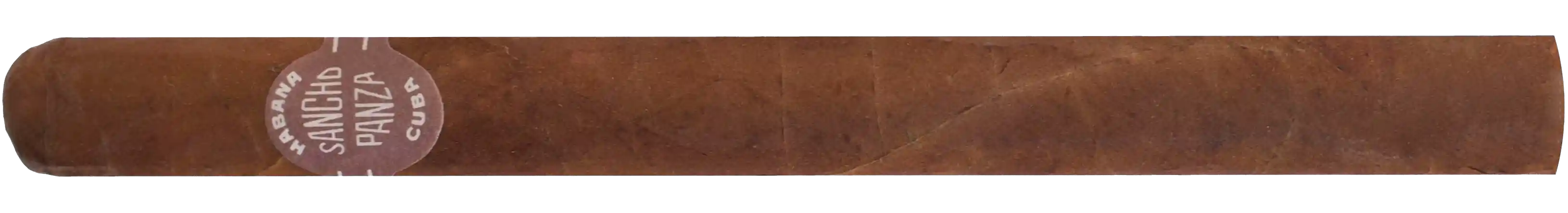 Sancho Panza Molinas