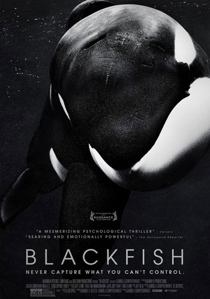 Blackfish.