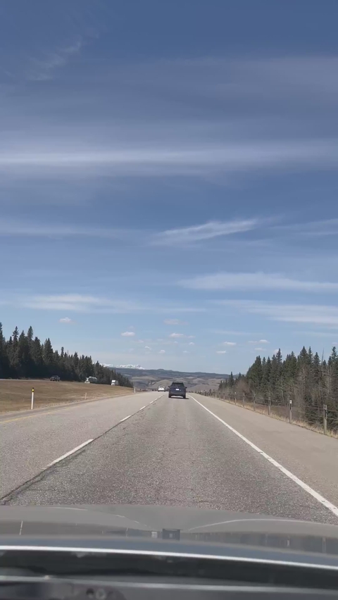 13665819_2160_3840_30fps