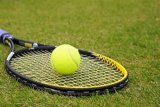 硬式テニスサークル（非公認）の画像