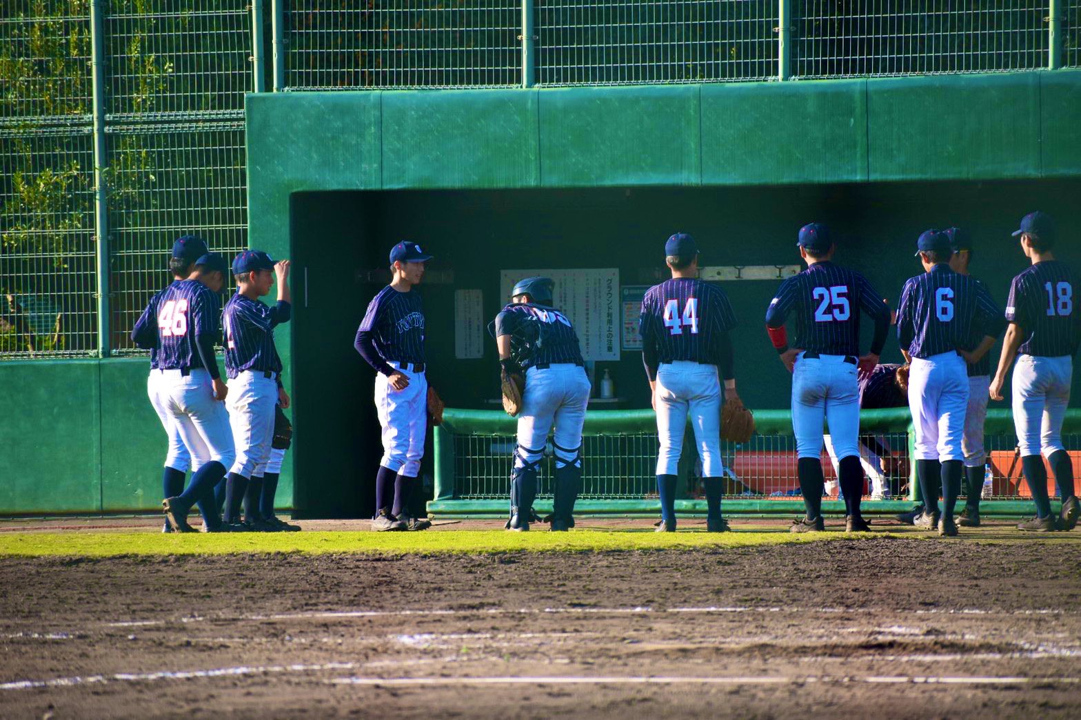 鳥取大学硬式野球部の画像