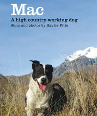 Mac: A High Country Working Dog