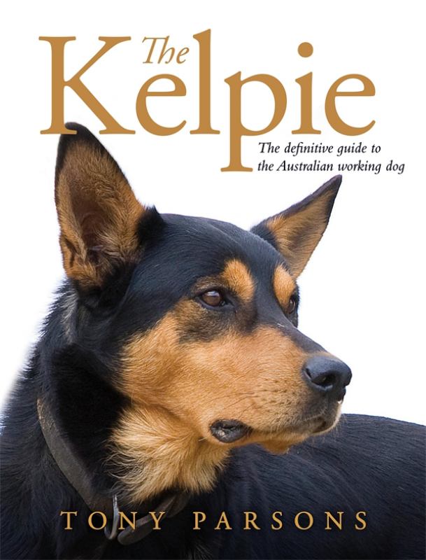 karrawarra kelpie