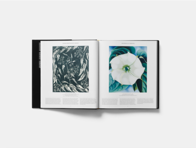 Plant: Exploring the Botanical World