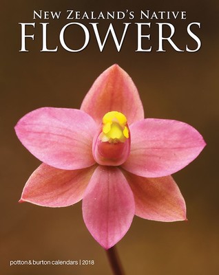 New Zealand S Native Flowers 2018 Calendar