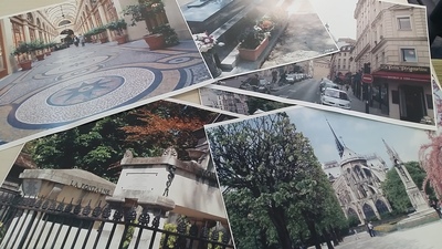 Large_french_non-laminated_2