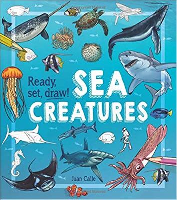 Ready Set Draw How to Draw Sea Creatures