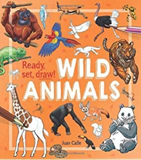 Ready Set Draw How to Draw Wild Animals