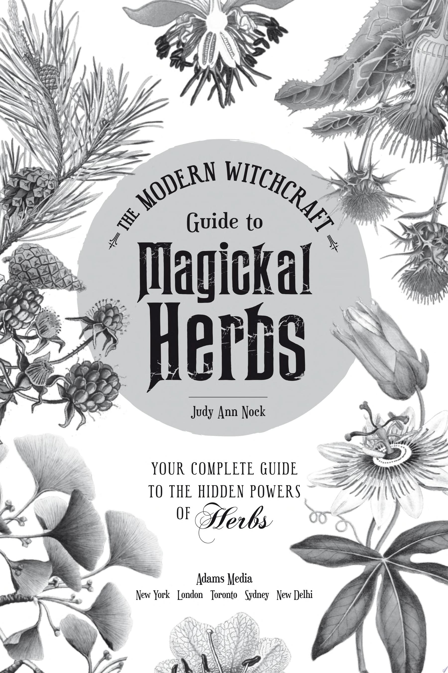 The Modern Witchcraft Guide to Magickal Herbs by Judy Ann Nock