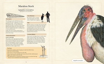 Illustrated Encyclopaedia of Ugly Animals (HB)