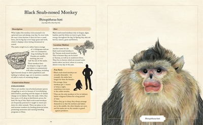 Illustrated Encyclopaedia of Ugly Animals (HB)