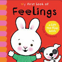 My First Book of Feelings (Lift a Flap)