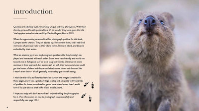 The Quokka's Guide to Happiness