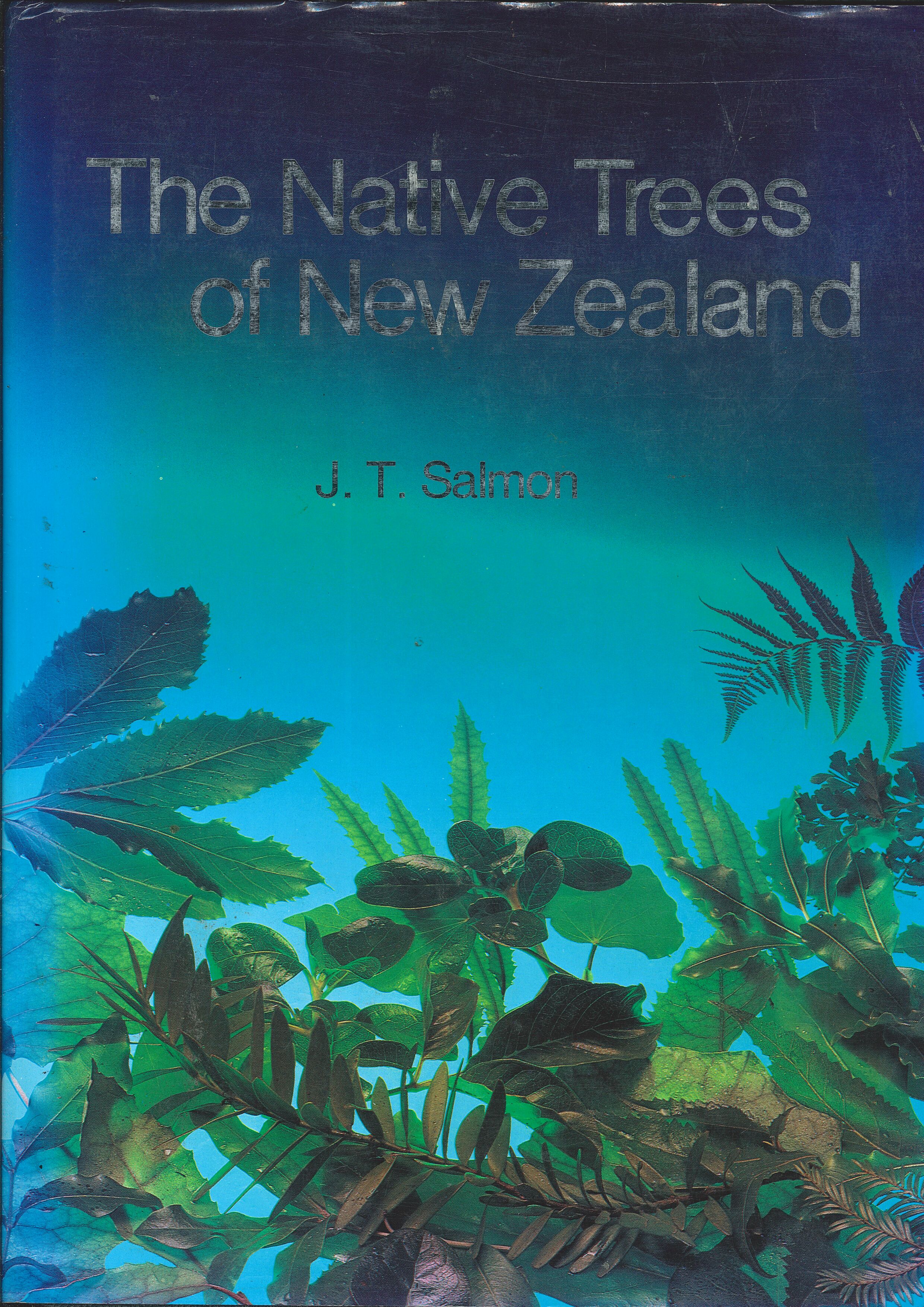 The Native Trees of New Zealand