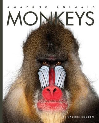 Amazing Animals: Monkeys Amazing Animals: Monkeys