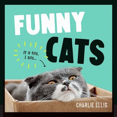 Funny Cats - A Hilarious Collection Of The World'S Funniest Felines And  Most Relatable Memes