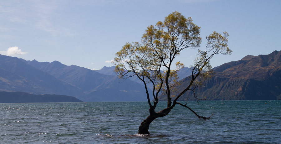 Wanaka