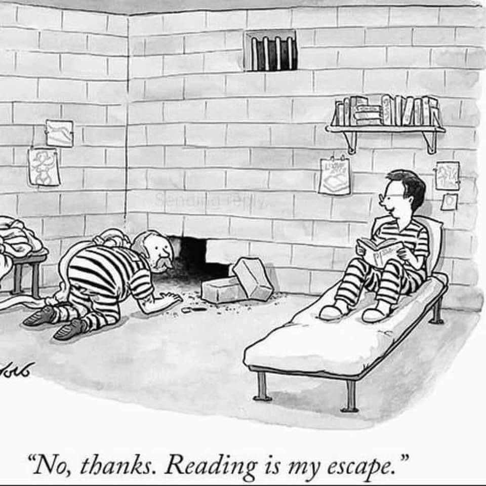 Reading as Escape