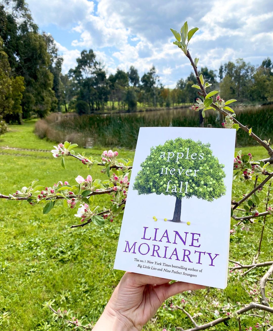 Apples Never Fall by Liane Moriarty