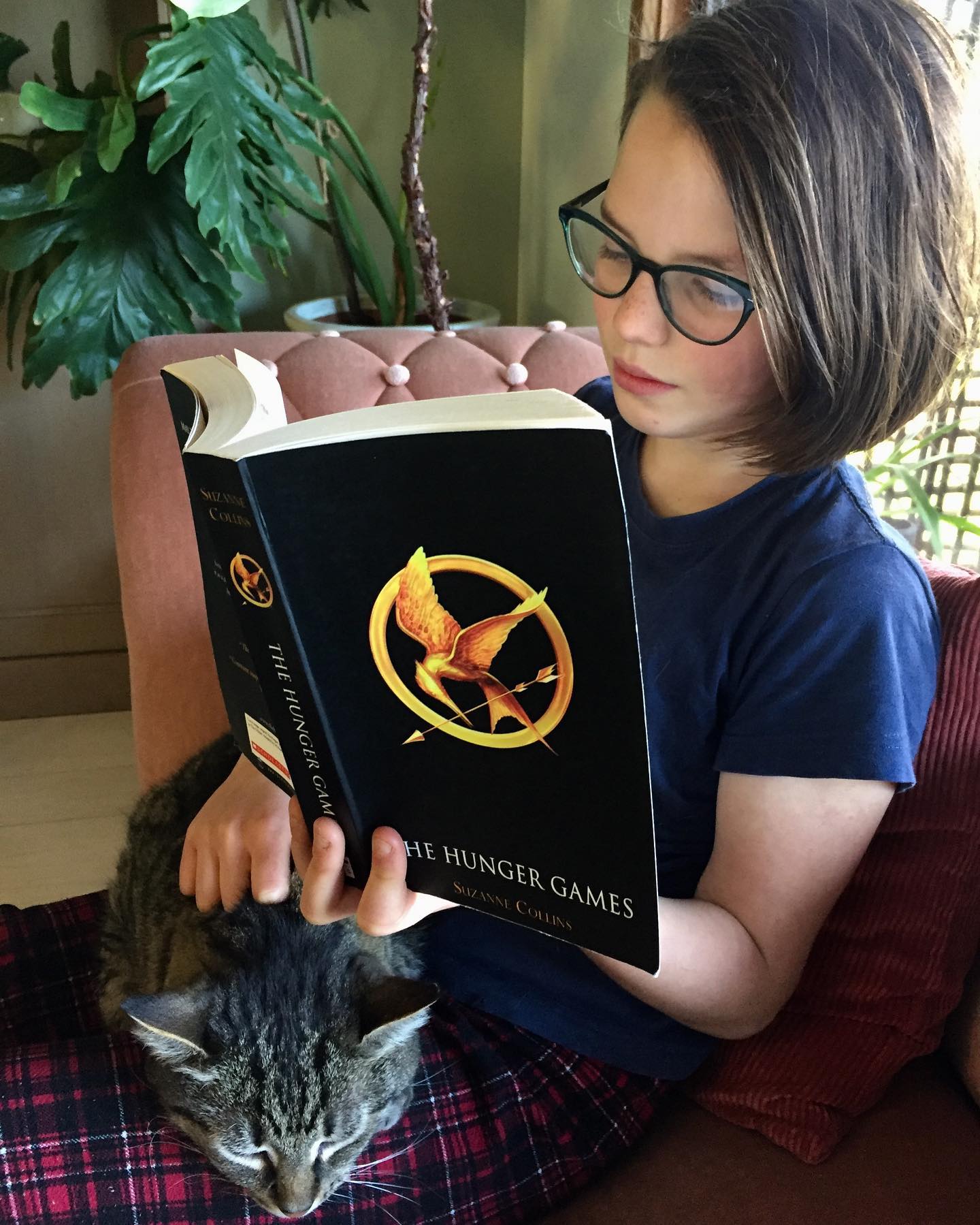 A young girl is sitting in a chair with a cat in her lap as she reads The Hunger Games by Suzanne Collins