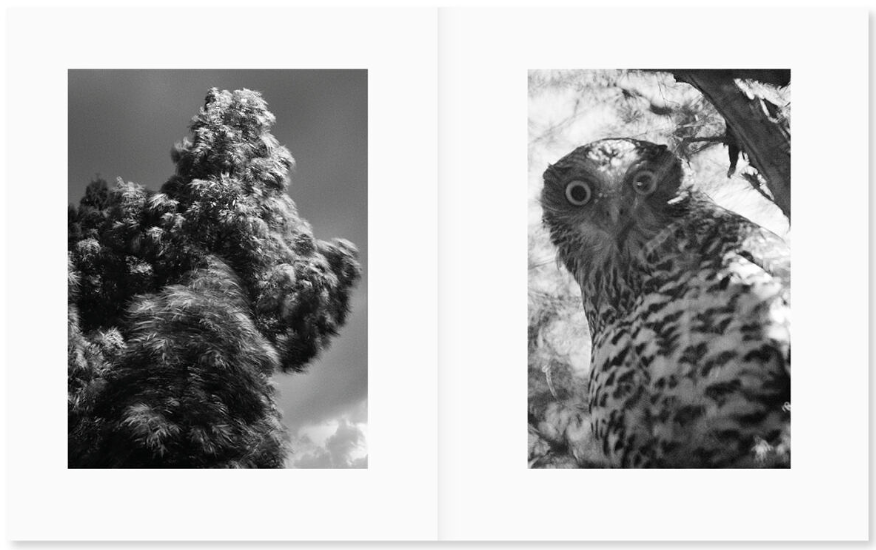 洋書 Katrin Koenning - between the skin Katrin Koenning - BETWEEN THE SKIN AND SEA