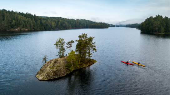 Dalsland staat bekend om zijn bossen, meren en outdooractiviteiten.