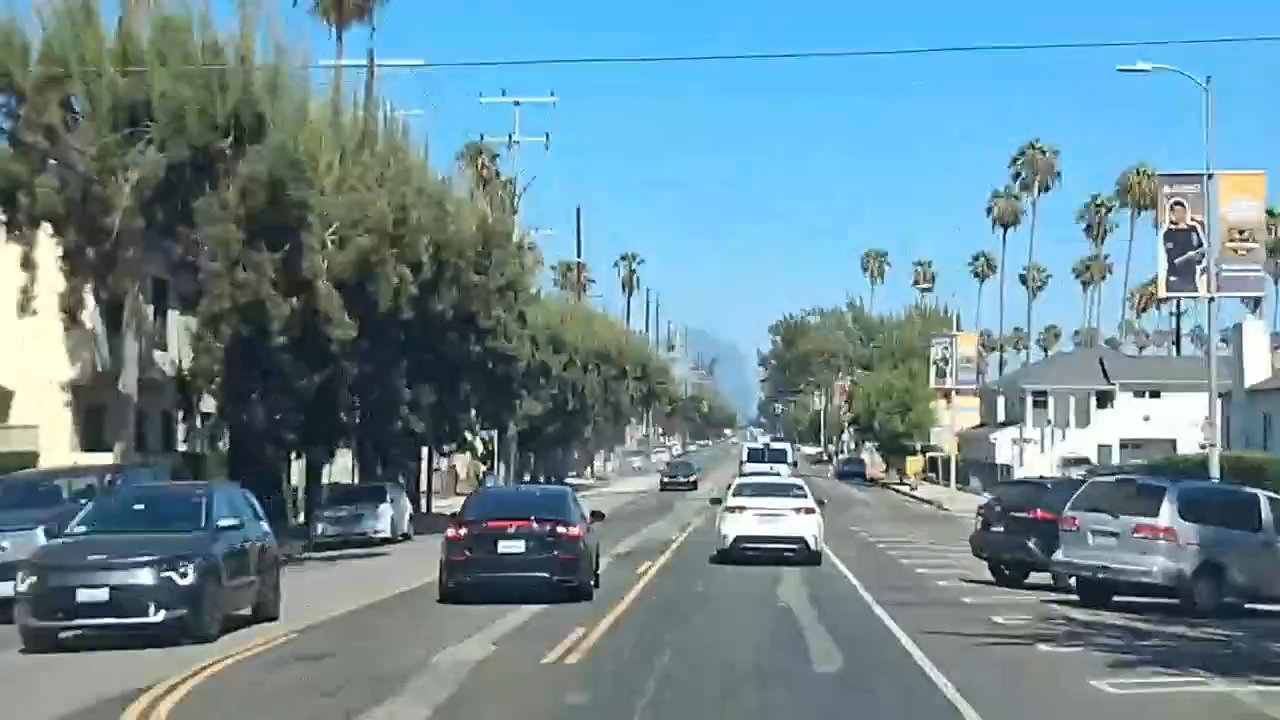 Video 8
