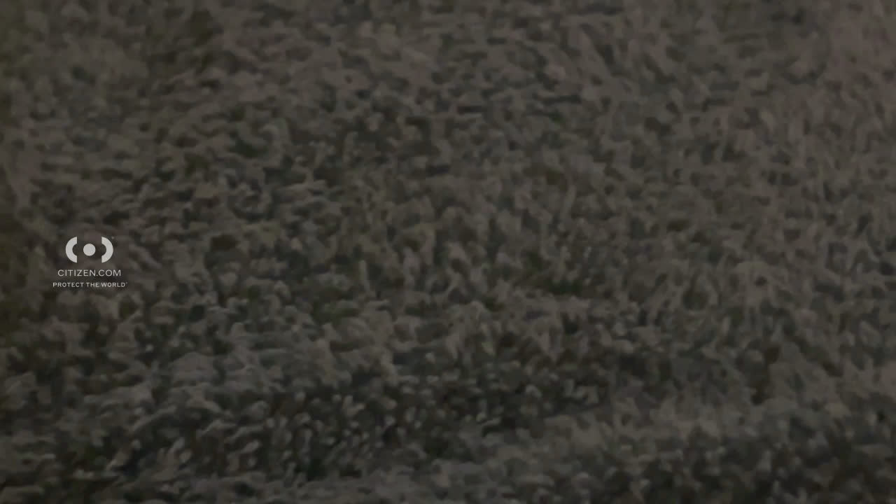 Video 7