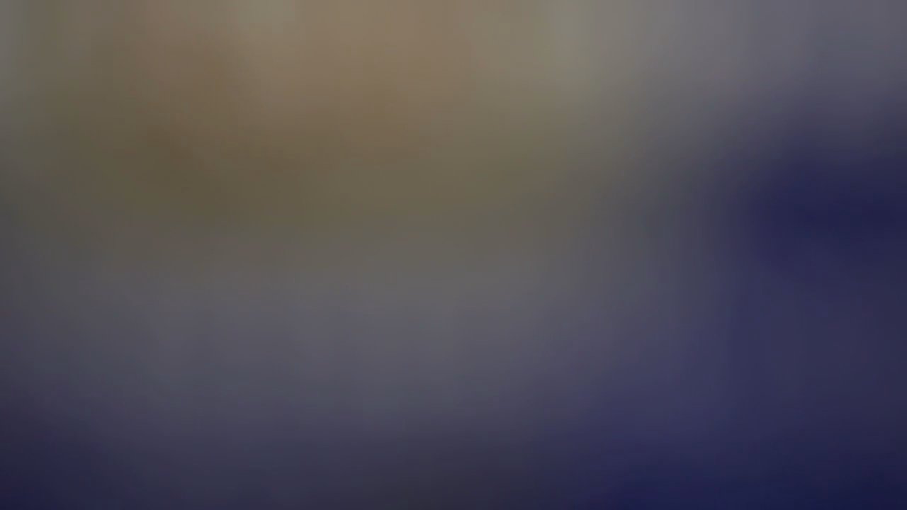 Video 2