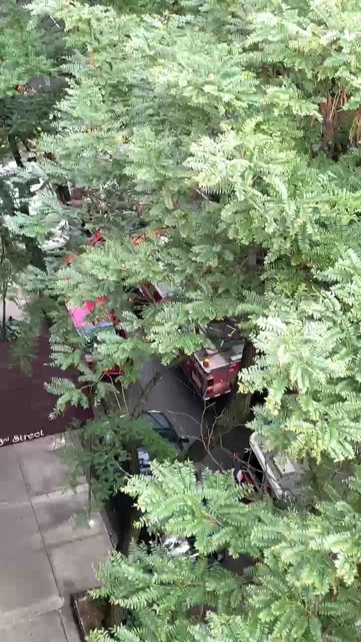 Video 4