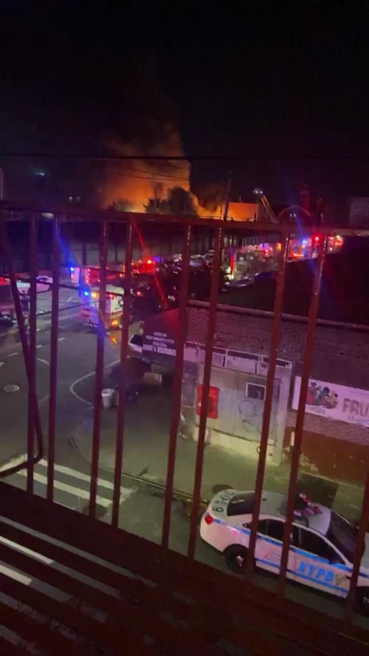 Video 19