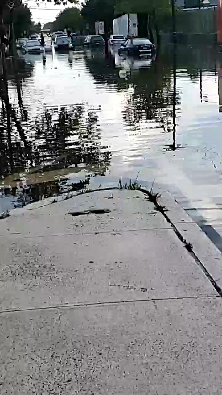 Video 2