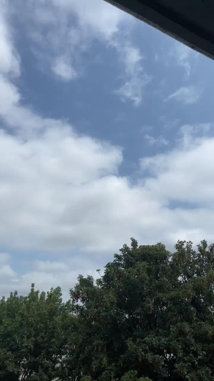 Video 17