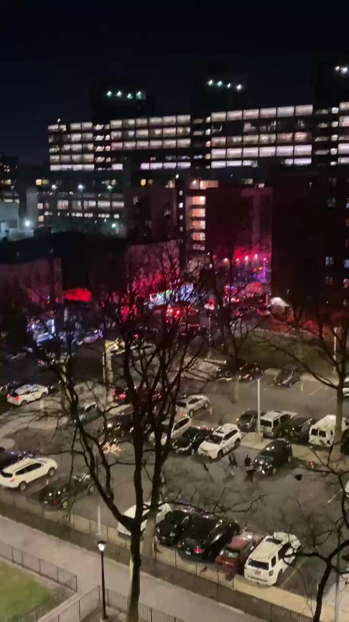 Video 2