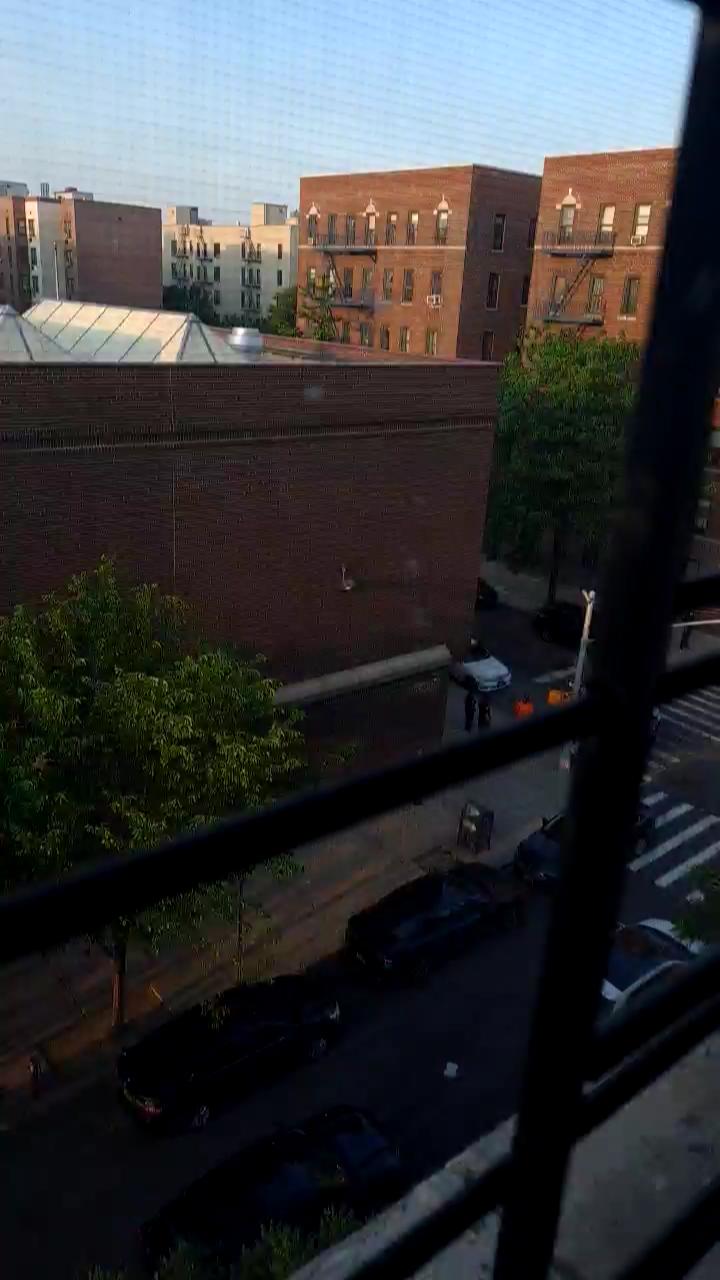 Video 6