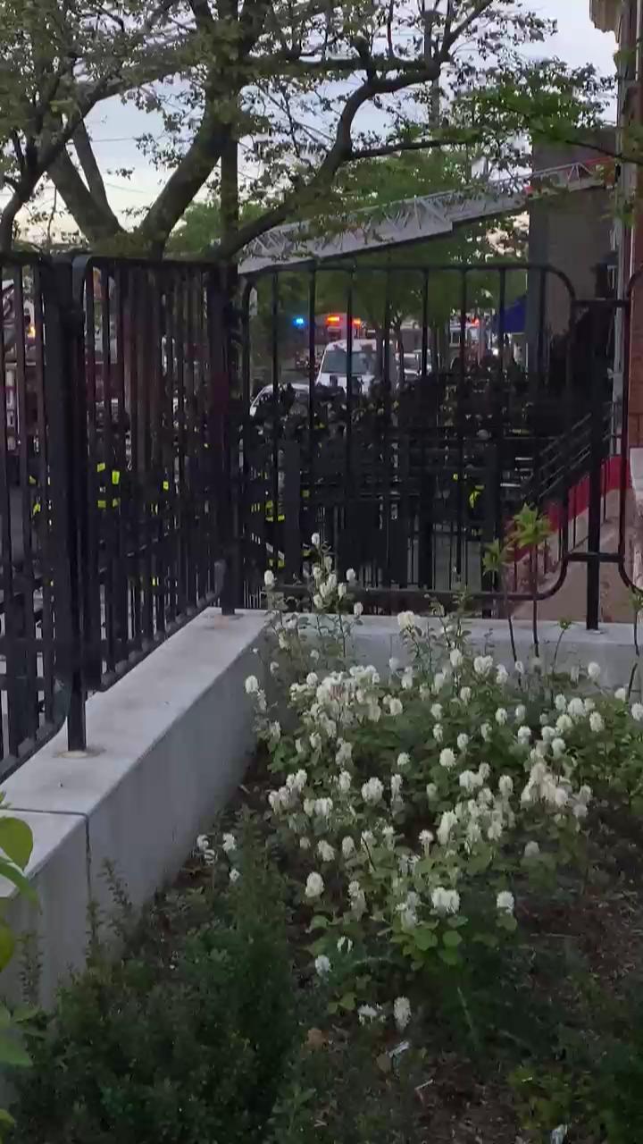 Video 4