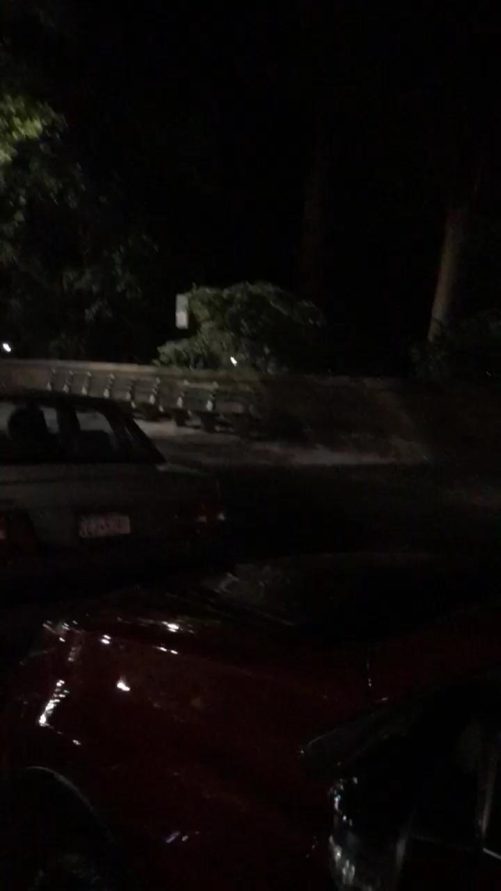 Video 17