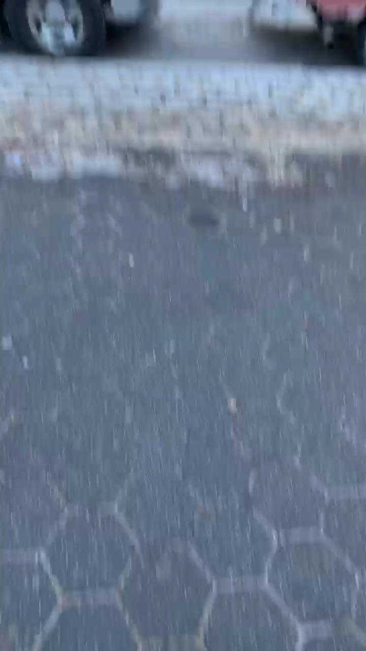 Video 10
