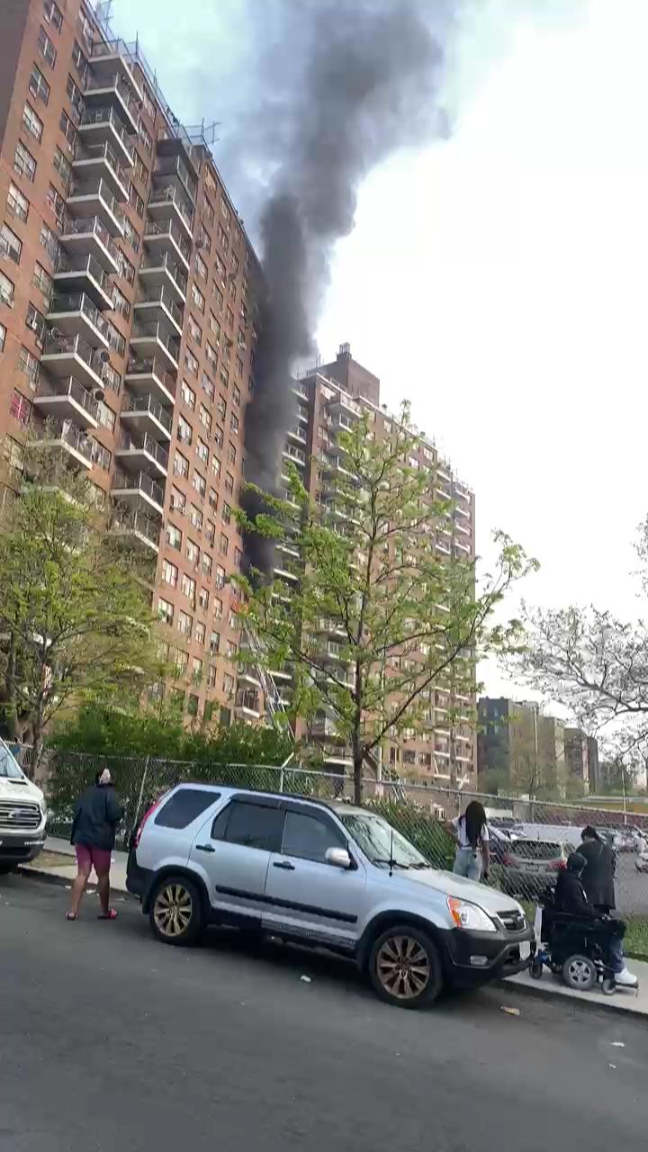 Video 29