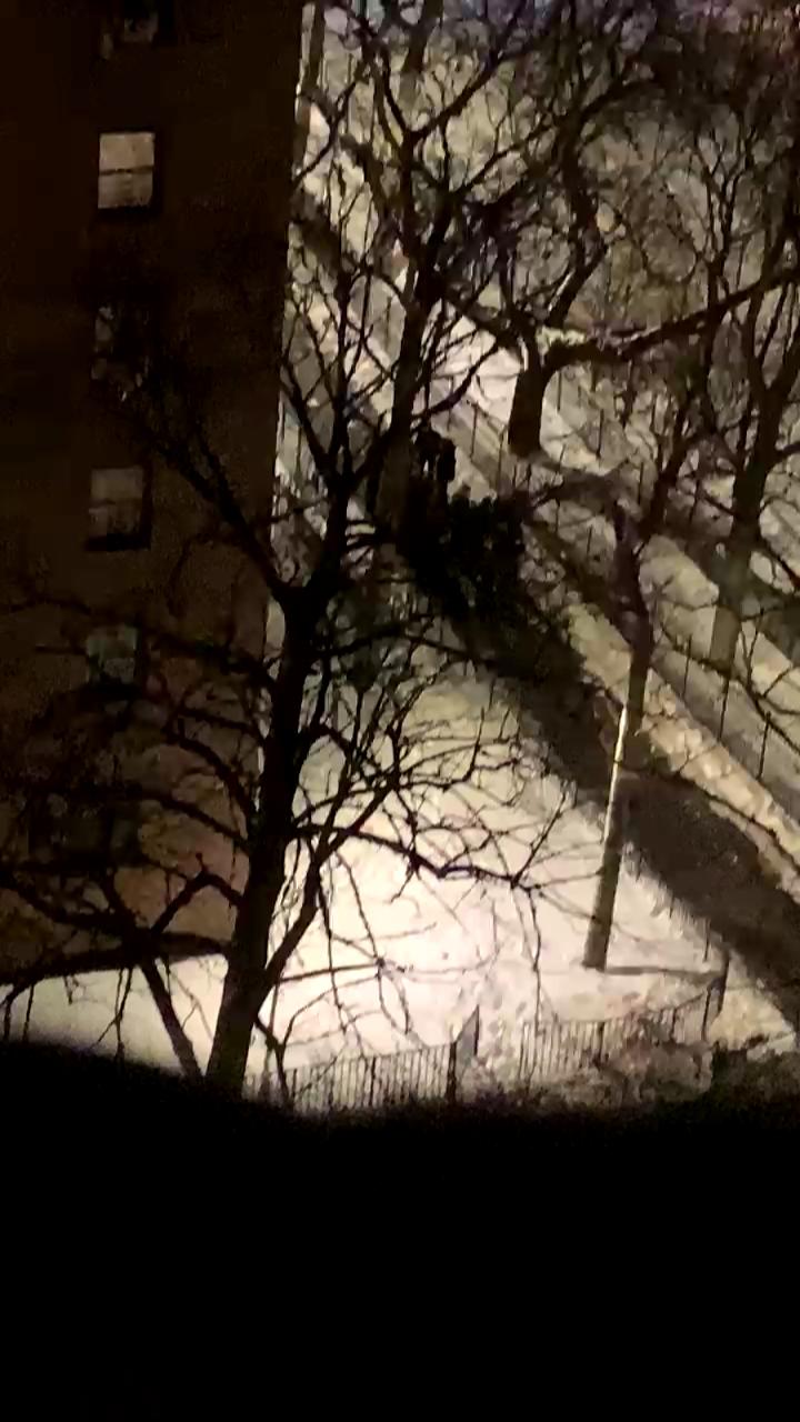 Video 4