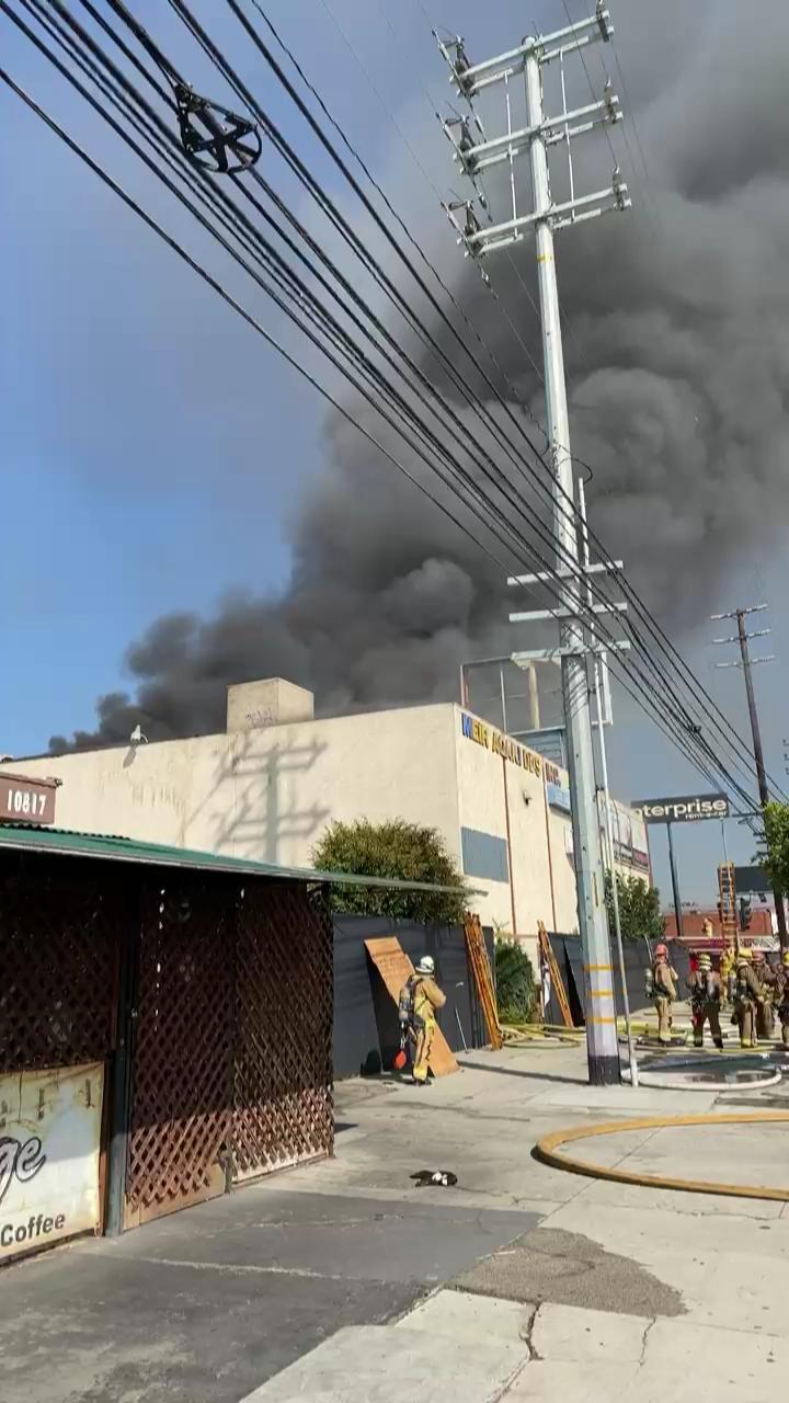 Video 29