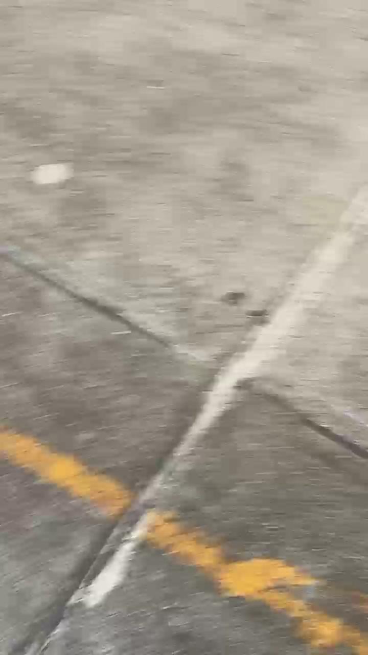 Video 19